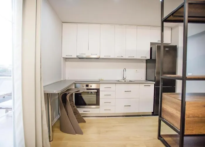 4br Penthouse & Bbq Terrace At Blloku - 公寓 *